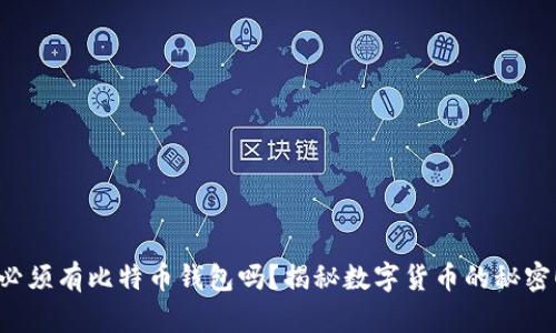 必须有比特币钱包吗？揭秘数字货币的秘密！