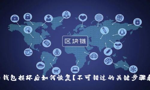比特币钱包损坏后如何恢复？不可错过的关键步骤和技巧！