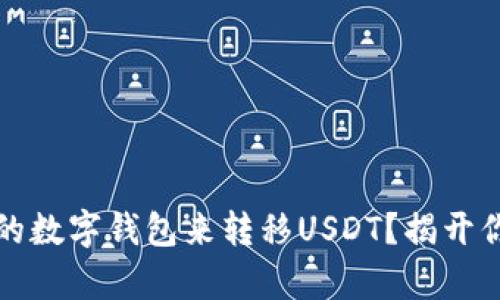 如何选择适合的数字钱包来转移USDT？揭开你的投资新篇章