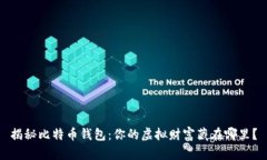 揭秘比特币钱包：你的虚