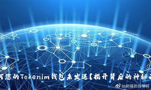 为何您的Tokenim钱包未发送？揭开背后的神秘面纱