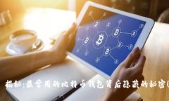  揭秘：最常用的比特币钱