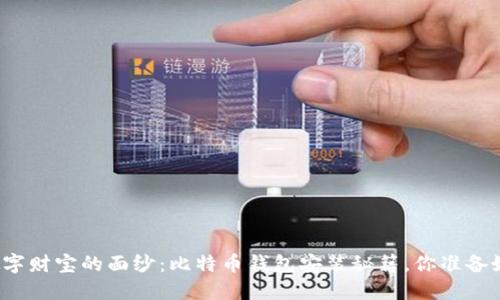 揭开数字财宝的面纱：比特币钱包安装秘籍，你准备好了吗？