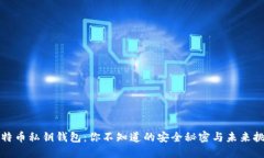 比特币私钥钱包：你不知道的安全秘密与未来挑