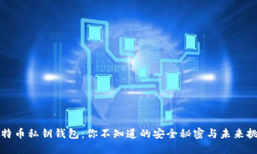 比特币私钥钱包：你不知道的安全秘密与未来挑战