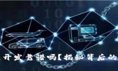 区块链钱包开发靠谱吗？揭秘背后的真相与机遇