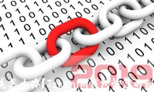 私钥丢失怎么办?Tokenim钱包恢复的秘密揭晓!