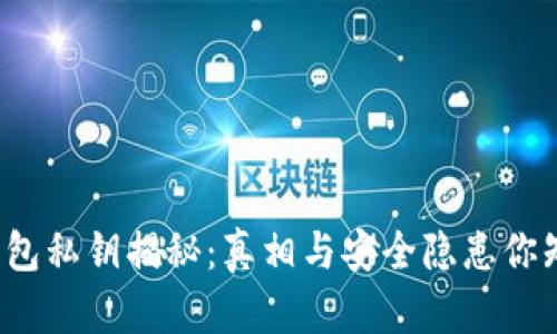 比特币钱包私钥揭秘：真相与安全隐患你知道多少？