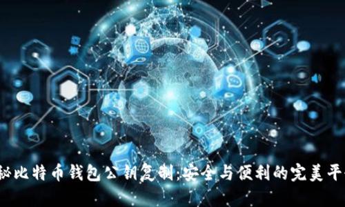 揭秘比特币钱包公钥复制：安全与便利的完美平衡？