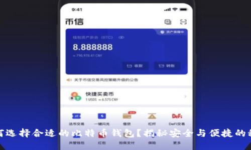 如何选择合适的比特币钱包？揭秘安全与便捷的秘境