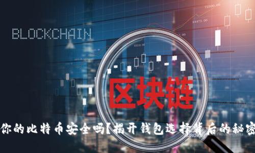 你的比特币安全吗？揭开钱包选择背后的秘密