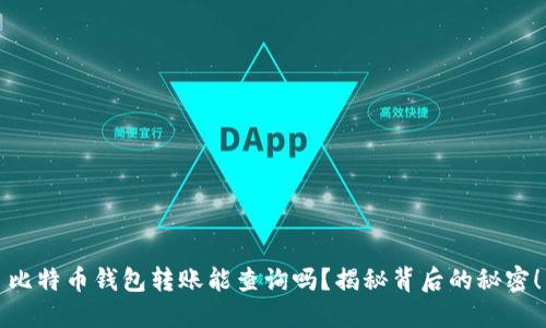比特币钱包转账能查询吗？揭秘背后的秘密！