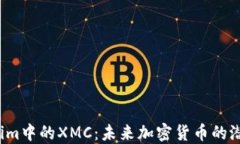 解密Tokenim中的XMC：未来加