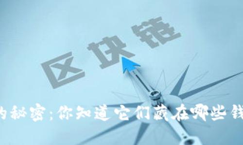 比特币的秘密:你知道它们藏在哪些钱包里吗?