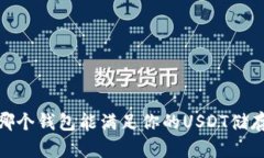 揭秘：哪个钱包能满足你的USDT储存需求？