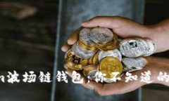 揭秘Tokenim波场链钱包：你