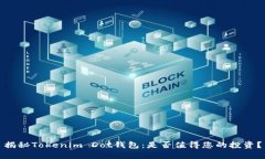 揭秘Tokenim Dot钱包：是否值