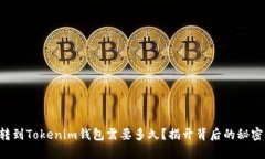 转到Tokenim钱包需要多久？