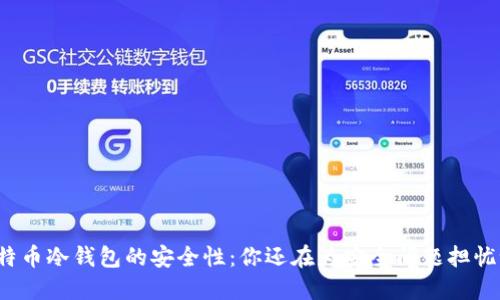 比特币冷钱包的安全性:你还在为安全问题担忧吗?