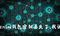 我的Tokenim钱包密钥丢失了