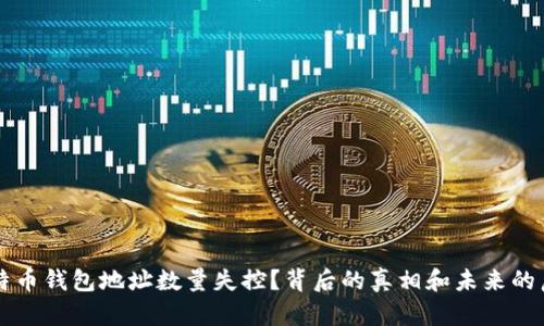 比特币钱包地址数量失控？背后的真相和未来的启示