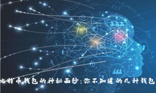 揭开比特币钱包的神秘面纱：你不知道的几种钱包类型！