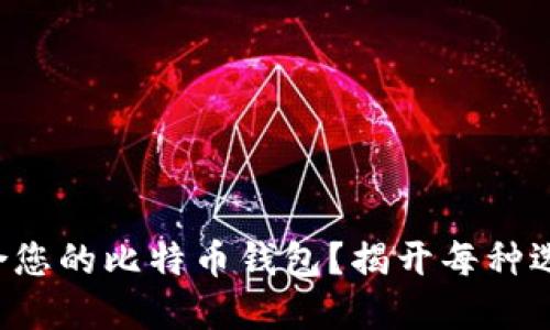 如何选择最适合您的比特币钱包？揭开每种选择的神秘面纱！