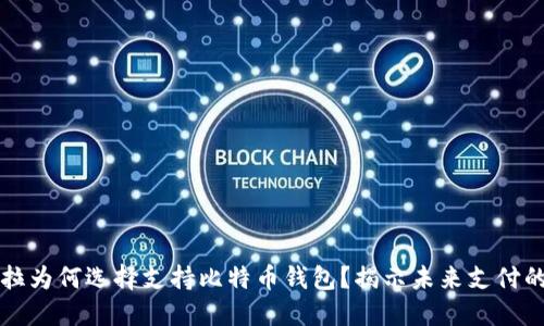 特斯拉为何选择支持比特币钱包？揭示未来支付的秘密