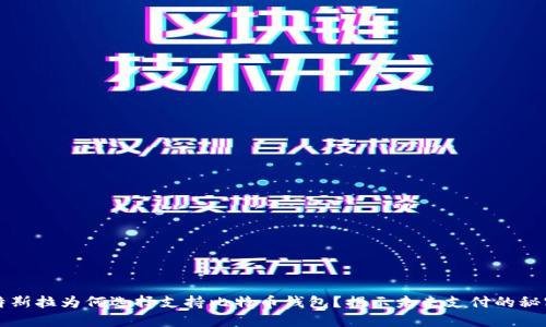 特斯拉为何选择支持比特币钱包？揭示未来支付的秘密