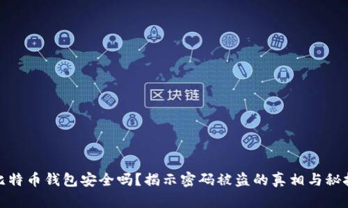 比特币钱包安全吗？揭示密码被盗的真相与秘技