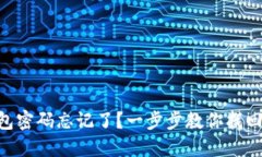 Tokenim钱包密码忘记了？一