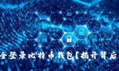 如何安全登录比特币钱包