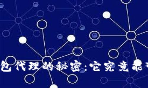 揭秘区块链云钱包代理的秘密：它究竟能带给你哪些惊喜？