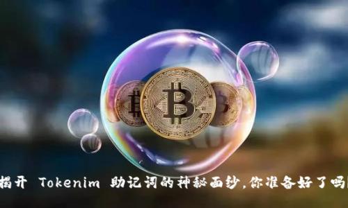 揭开 Tokenim 助记词的神秘面纱，你准备好了吗？